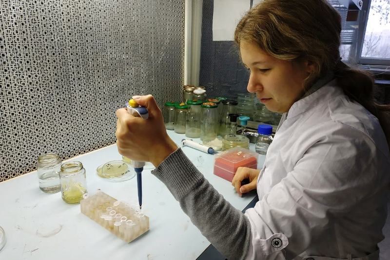 Наукові пошуки третьокурсників-біотехнологів в Інституті клітинної біології та генетичної інженерії НАН України