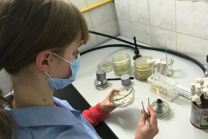 Свої перші кроки у світ науки київська ліцеїстка робить у лабораторіях кафедри біотехнології і мікробіології НУХТ