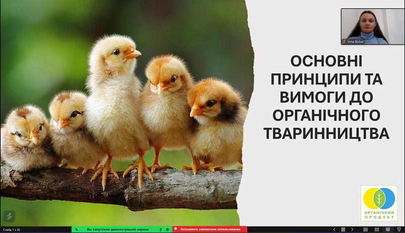 Останні тенденції у сфері органічного тваринництва на відкритій лекції доцентки кафедри технології хлібопекарських і кондитерських виробів