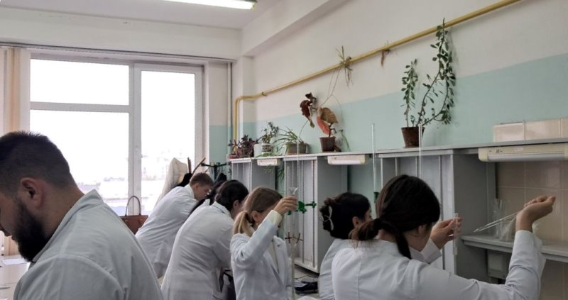 Експерти-третьокурсники перевіряють якість борошна