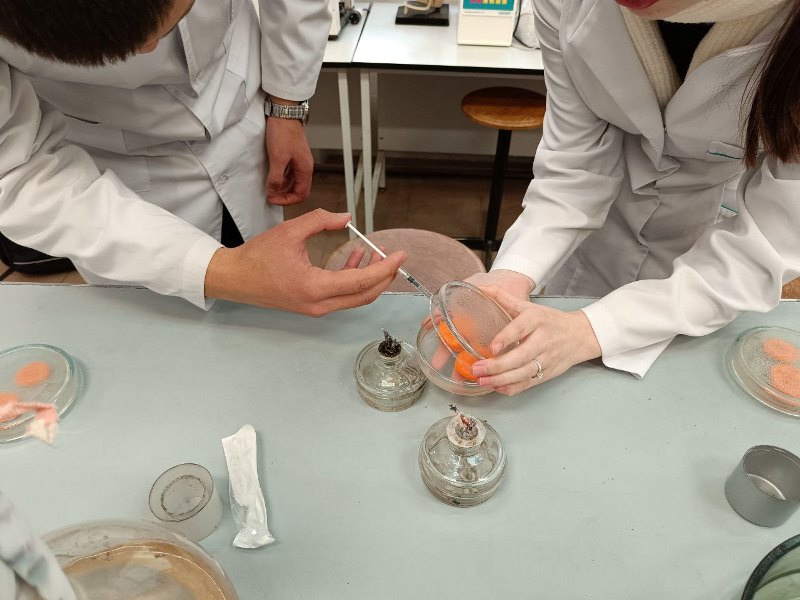 Мікробні інструменти для рослинних біотехнологій