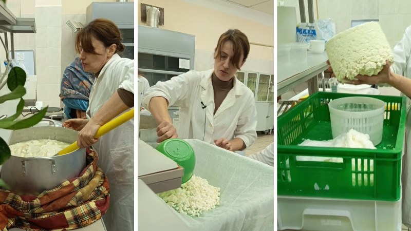 Успішне завершення сертифікатної програми «Сирний арт: інновації у виробництві сиру і морозива»