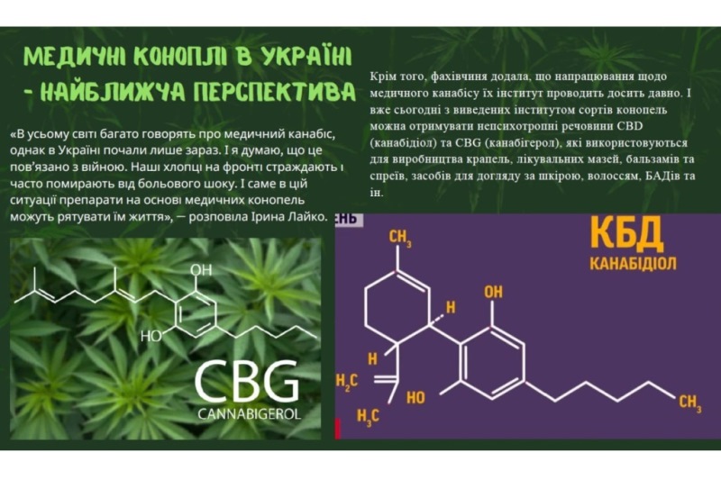 Практичне заняття магістрантів: отримання канабіноїдів біотехнологічним шляхом